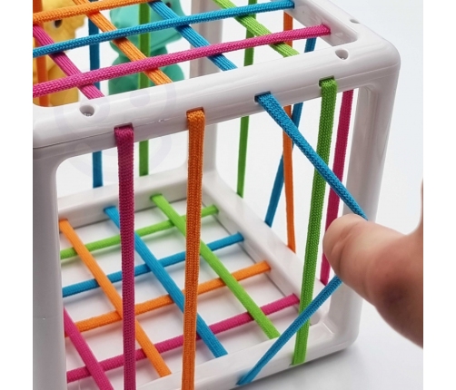 WOOPIE Elastyczna Kostka Sensoryczna Sorter dla Dzieci Kolorowe Dinozaury 6 el.