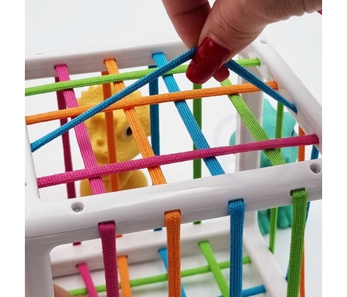 WOOPIE Elastyczna Kostka Sensoryczna Sorter dla Dzieci Kolorowe Dinozaury 6 el.