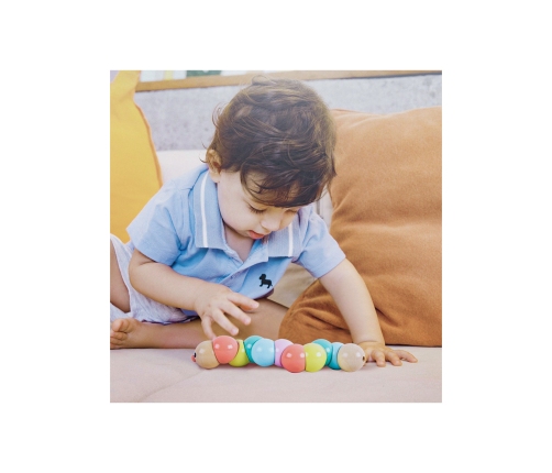 CLASSIC WORLD Drewniana Gąsienica Kolorowa do Zginania i Skręcania