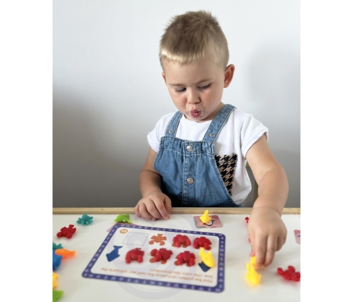 WOOPIE Zestaw Edukacyjny Nauka Liczenia Sortowanie Kolorów Morska Kraina 111 el.