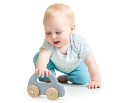 VIGA PolarB Drewniany Samochodzik do Pchania Niebieski