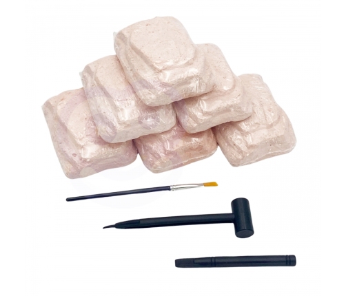 WOOPIE Wykopalisko 6w1 Dinozaur Szkielet Mały Archeolog 6 szt.