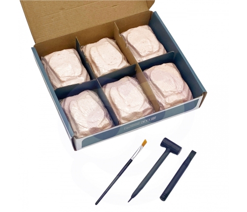 WOOPIE Wykopalisko 6w1 Dinozaur Szkielet Mały Archeolog 6 szt.