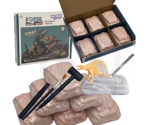 WOOPIE Wykopalisko 6w1 Dinozaur Szkielet Mały Archeolog 6 szt.