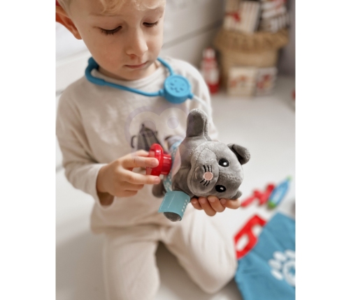 WOOPIE Zestaw Małego Weterynarza Kot Torba