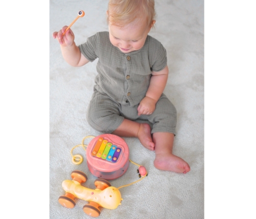 WOOPIE Ślimak do Ciągnięcia 4w1 Cymbałki Zębatki Sensoryczne Wyrzutnia + Małe Autko