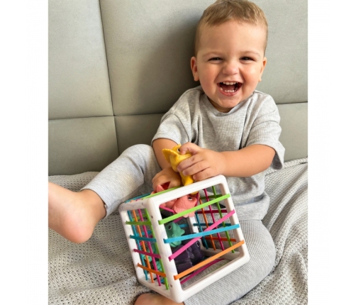 WOOPIE Elastyczna Kostka Sensoryczna Sorter dla Dzieci Kolorowe Dinozaury 6 el.