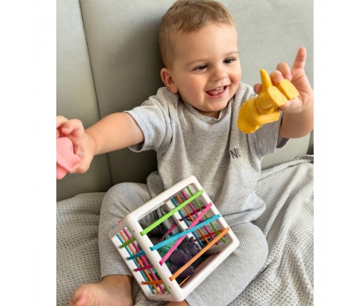 WOOPIE Elastyczna Kostka Sensoryczna Sorter dla Dzieci Kolorowe Dinozaury 6 el.