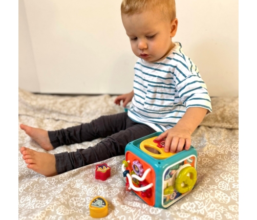 WOOPIE Interaktywna Kostka Sensoryczna Edukacyjna Montessori Sorter 6w1