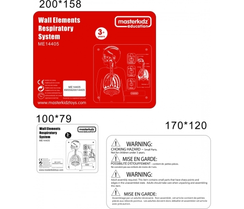 MASTERKIDZ Tablica Edukacyjna Układ Oddechowy Montessori