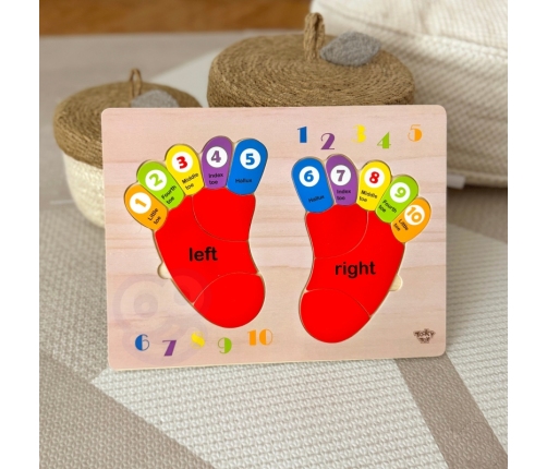 TOOKY TOY Edukacyjna Drewniana Układanka Stopy Nauka Liczenia i Kolorów