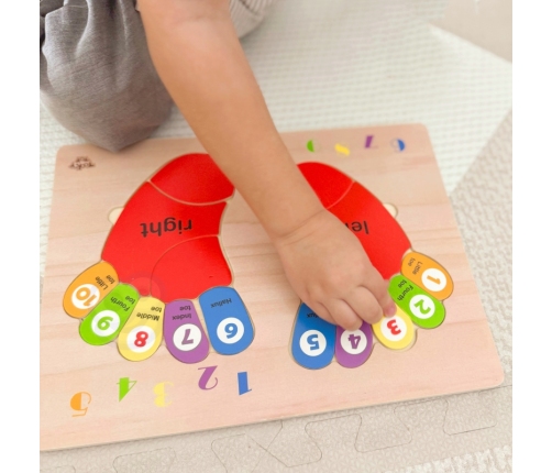 TOOKY TOY Edukacyjna Drewniana Układanka Stopy Nauka Liczenia i Kolorów