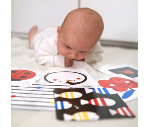 TOOKY TOY Box Pudełko XXL Montessori Edukacyjne 7w1 Sensoryczne 0-2 Mies