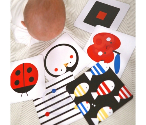 TOOKY TOY Box Pudełko XXL Montessori Edukacyjne 7w1 Sensoryczne 0-2 Mies