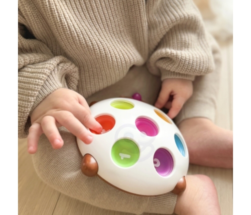 WOOPIE Jeżyk Pop-it Cyferki Fidget Toys