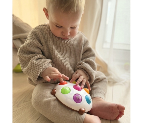 WOOPIE Jeżyk Pop-it Cyferki Fidget Toys