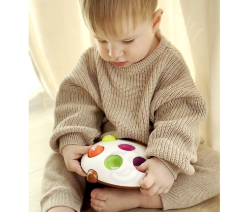 WOOPIE Jeżyk Pop-it Cyferki Fidget Toys