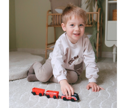 WOOPIE Lokomotywa Elektryczna Pociąg Wagony na Magnes