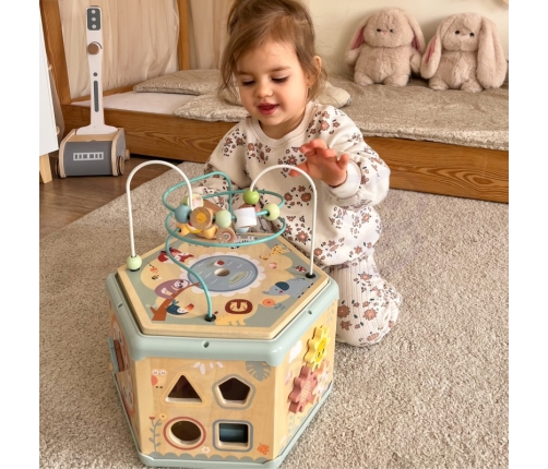 TOOKY TOY Interaktywny Drewniany Sześciokąt Montessori Otwierane Pudełko