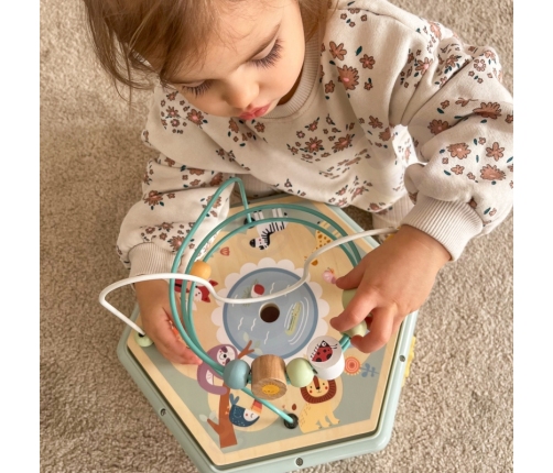 TOOKY TOY Interaktywny Drewniany Sześciokąt Montessori Otwierane Pudełko