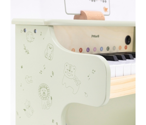 Viga Pianino Zielone Nauka Gry