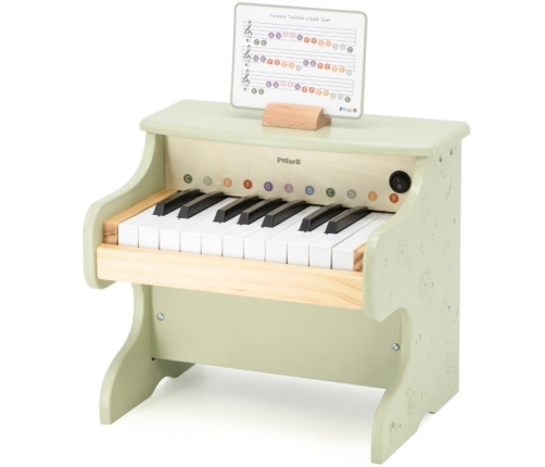 Viga Pianino Zielone Nauka Gry