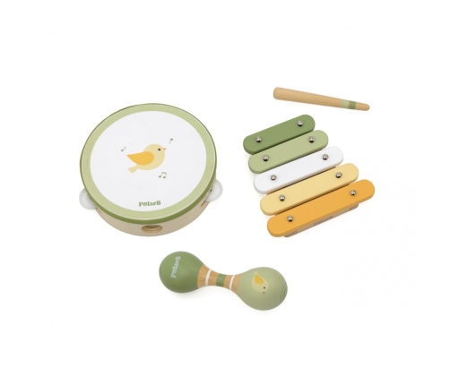 VIGA PolarB Zestaw Instrumentów Muzycznych Z Ptaszkiem