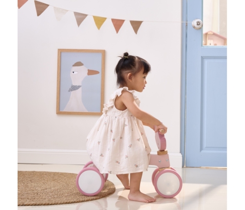 Koka velosipēds VIGA PolarB Fox