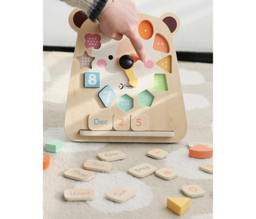 CLASSIC WORLD Zegar Miś Montessori Edukacyjny 3w1 Nauka Czasu Liczenia i Daty