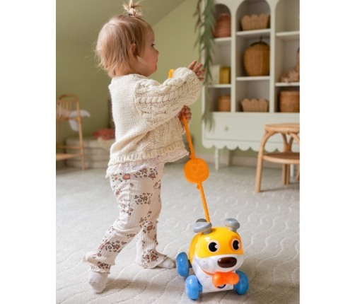 WOOPIE Interaktywny Piesek 2w1 Pchacz Szczekający 360° 6m+