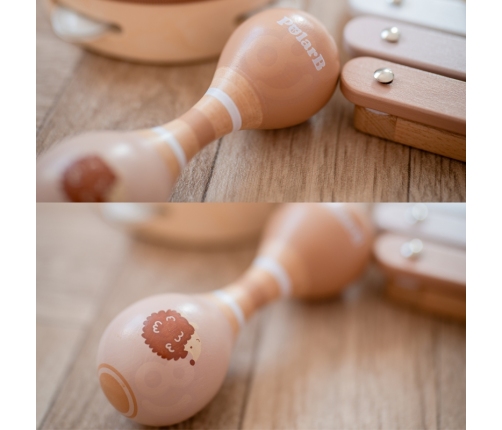 VIGA PolarB Zestaw Instrumentów Muzycznych Z Jeżykiem