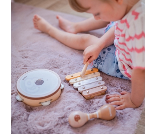 VIGA PolarB Zestaw Instrumentów Muzycznych Z Ptaszkiem