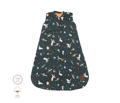 Детский спальный мешок 0-9 мес. Stardust