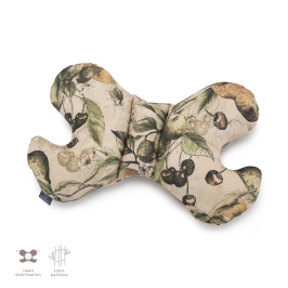 Bambusa spilvens Butterfly Taste of Summer Bambusa spilvens Butterfly Taste of Summer