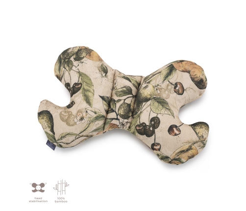 Bambusa spilvens Butterfly Taste of Summer