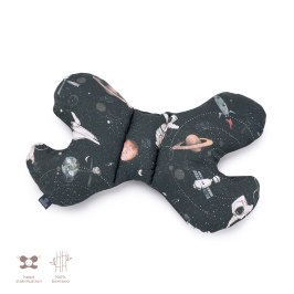 Bambusa spilvens Butterfly Stardust Bambusa spilvens Butterfly Stardust