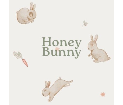 Bērnu ratu guļammaiss  0-12 mēn. Everest Baby Honey Bunny