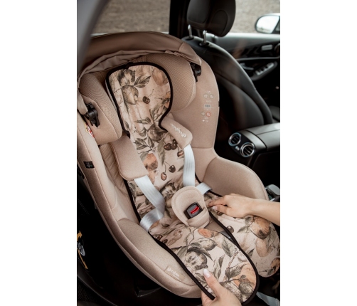 Pretsviedrēšanas ieliktnis autosēdeklim  un ratiem 9-36 kg Stardust