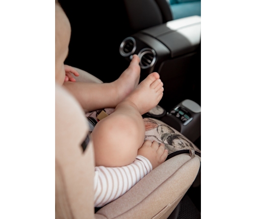 Pretsviedrēšanas ieliktnis autosēdeklim  un ratiem 9-36 kg Stardust