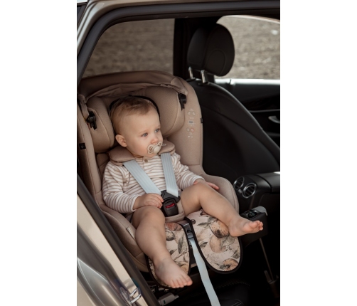 Pretsviedrēšanas ieliktnis autosēdeklim  un ratiem 9-36 kg Stardust