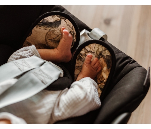 Дышащий вкладыш для автокресел и колясок 0-18 кг Stardust