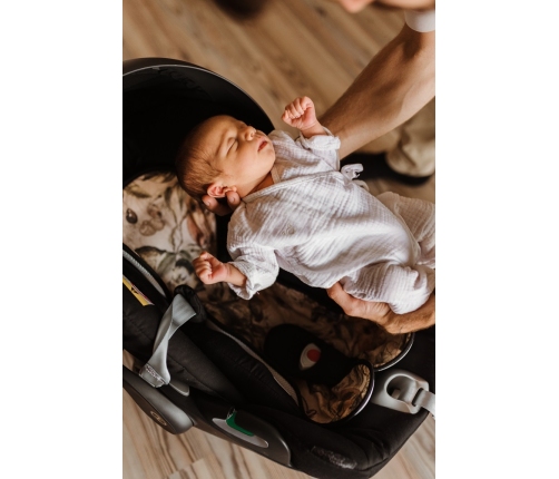 Дышащий вкладыш для автокресел и колясок 0-18 кг Stardust