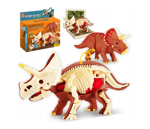 Набор для сборки скелета динозавра Трицератопс 6+ CHT2818818