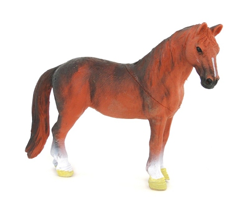 Mājdzīvnieku komplekts 507777