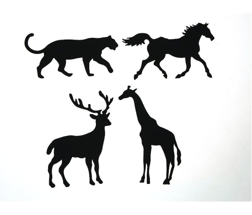 Книжка-раскраска Скретчборд  (8 стр.) 16x12 cm 572201