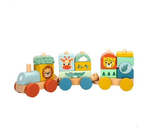 Koka vilciens no 18 men.  CB47584