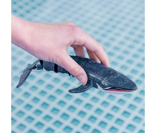 Радиоуправляемый Кит , плавает 20 cm (USB) 4+ CB47671