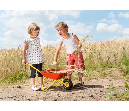 Ķerra metāla rollyMetallschubkarre no 2.5 gadiem līdz 25 kg 80x38x41 cm 270804 Itālija