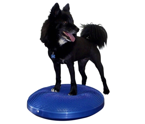FitPAWS mājdzīvnieku līdzsvara disks, 56 cm, zils