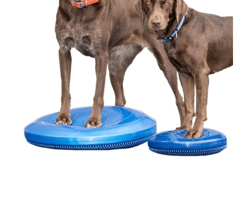 FitPAWS mājdzīvnieku līdzsvara disks, 56 cm, zils